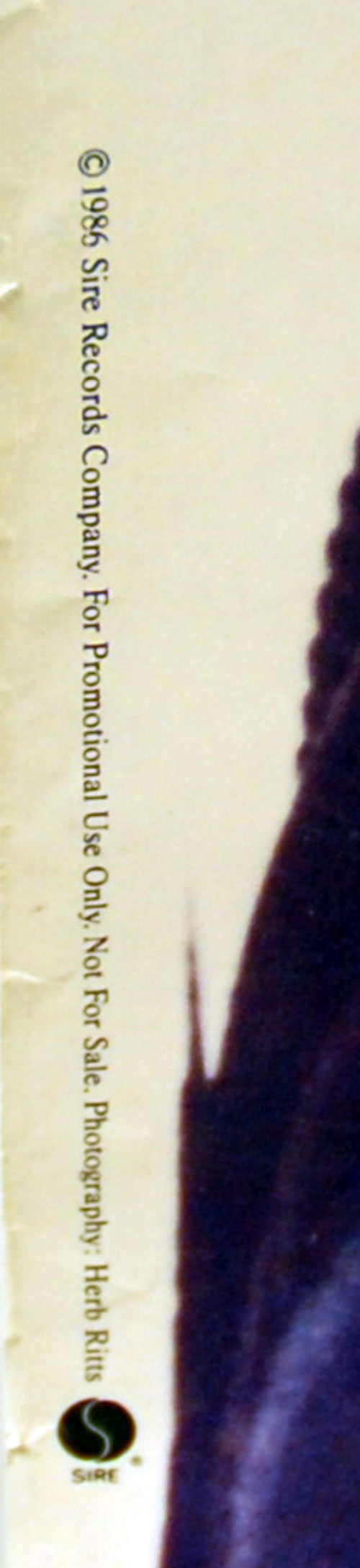 Madonna True Blue US Promo poster (216454)